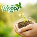 Evening Primrose Virgin Organic Carrier Oil - 1 Litre | 100% Pure | Mystic Moments - International Shipping Available - Buy Online on GoSupps.com