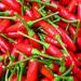 Germinazione I Semi: 100 - Semi: Small Red Chili Peppers - Hot & Spicy !!!! Grande Salsa di Pepe !! Spedizione Gratuita!! - Buy Online on GoSupps.com