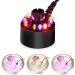 PAIDUOJI Color Changing LED Pond Fountain Fogger Humidifier - 12 LED Lights Atomizer with AC Adapter (Black) - International Shipping Available - Buy Online on GoSupps.com