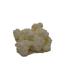 Buy Kefir-for-All: Premium Milk Kefir Grains & Starter Culture for Strong Growth | International Shipping - Buy Online on GoSupps.com