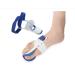 Buy Toe Splints & Separators for Bunion Relief | Hallux Valgus Corrector - Blue & White - Buy Online on GoSupps.com