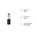 COVERGIRL Continuous Color Lipstick It's Your Mauve 030 - 0.13 oz (Packaging May Vary) - Buy Online on GoSupps.com
