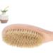 Natural Beechwood Bath Brush with Boar Bristles - Long Handled Wooden Body Brush for Spa Experience - Buy Online on GoSupps.com