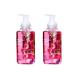(2 pack) S Fo.aming Hand Soap Wild Black Cherry 11 fl oz