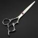 Hair Cutting Scissors 6 Inch Professional JP 440c Steel Silver Dragon Handle Hair Scissors Haircut Thinning Barber Hair Cutting Shears Hairdressing Scissors Set - Buy Online on GoSupps.com