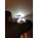 Gator Eyes Multi-use Mini Lights 5-Pack - Brighten Up Your Space with Versatile Lighting - Buy Online on GoSupps.com