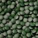 500g Organic Chlorella Tablets - 2000 x 250mg 100% Natural EU Eco Standard Raw Food Quality - No Additives - Buy Online on GoSupps.com