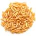 Yupik Organic Kamut Grains 1 kg Non-GMO Vegan Kosher Raw Whole Grains Khorasan Wheat Nutty Flavor Source of Fiber & Iron Ideal for Cooking & Sprouting 1 kg (Pack of 1) - Buy Online on GoSupps.com