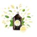 Buy NEW! VITA BIOSA Ginger 500ml | Probiotic Fermented Drink | International Shipping Available | 0.25 Deposit Included - Buy Online on GoSupps.com