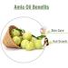 100% Pure Amla Essential Oil | Natural & Undiluted Aromatherapy Oil | Therapeutic Grade 30ml - Buy Online on GoSupps.com