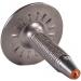 Extreme Max 5600.5436 Fat Head Studs - 1.345 - Pack of 36 - Buy Online on GoSupps.com