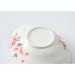 Fruit Bowl Snack Containers Bowl Household Dish Plate Ceramic Japanese Style Particularly Beautiful Dipping Bowl Eating Bowl Breakfast Bowls (Color : D) (B) - Buy Online on GoSupps.com