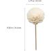 ABOOFAN Rattan Sticks for Room Fragrance 3PC Aromatherapy Diffuser Refill & Dry Flower Sticks for Home Decoration - Buy Online on GoSupps.com