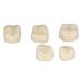 Non-Toxic Temporary Molar Crown | Oral Care Dental Crown for Posterior Teeth | Protect Gingiva - Buy Online on GoSupps.com