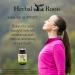 Organic Ginkgo Biloba Supplement - 60 Vegan Capsules, 400mg/Serving - Made in USA - Buy Online on GoSupps.com