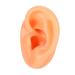 Silicone Left Ear Model Simulation Display Soft Ear Model Flexible Realistic Mold Fake Ear Model Ear Model Earwax Removal
