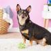 JW Hol-ee Roller Small Dog Toy - Durable Rubber Treat Ball for Chew Dispensing - Assorted Colors - Buy Online on GoSupps.com