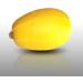 10 Seeds - SPAGHETTI Squash Vegetal - Cucurbita pepo - Buy Online on GoSupps.com