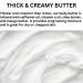LE SHEA Egyptian Amber Body Butter w African Shea Butter Mango Butter Vitamin E Oil Skin Cream Vegan Moisturizer Thick Lotion Plant Based Dry Cracked Hand Feet 8 oz - Buy Online on GoSupps.com