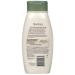 Aveeno Daily Moisturizing Body Wash with Oatmeal 18oz Bottles (Pack of 3) - Buy Online on GoSupps.com