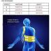 Adjustable Posture Corrector & Back Support Belt for Men Women & Kids | Waist Shoulder Brace - Medium Size - Buy Online on GoSupps.com