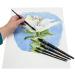 Creative Mark Danube Watercolor Quill Brush #10 - Kazan Squirrel & Synthetic Hair, Professional Painting Brush - Buy Online on GoSupps.com