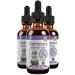 Nervestra Nerve Health Support Supplement - Fast-Absorbing Herbal Liquid Formula - Turmeric White Willow Bark B-Vitamins Alpha Lipoic Acid Acetyl-L-Carnitine and More