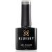 Bluesky Gel Nail Polish Himalaya Silver Glitter Grey - Autumn/Winter 2020 Collection | Long Lasting Chip Resistant | 10 ml (Pack of 1) - Buy Online on GoSupps.com