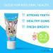 Brush-Baby Baby & Toddler Toothpaste (0-3Yrs) - Apple Mint Flavour (50ml) - Buy Online on GoSupps.com
