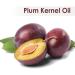 Plum Kernel Oil 100% Natural & Pure - Uncut Carrier Oil for Skin & Hair | Aromatherapy & Therapeutic Grade (50 ML - Buy Online on GoSupps.com