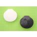 Buy Snail Shell Contact Lens Case Set with Mirror - Stylish White Storage Container for Travel | Fast International Shipping - Buy Online on GoSupps.com