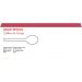 Packpact Pack of 1000 Light-Weight White Disposable Spoons Perfect for Everyday Use. Convenient and Affordable Disposable Utensils Ideal for Parties Picnics and Catering Events. - Buy Online on GoSupps.com