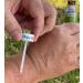 Chigarid External Analgesic - 0.5 oz (Pack of 2) - Fast-Acting Pain Relief - Buy Online on GoSupps.com