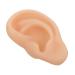 Healvian 1pc Silicone Ear Silicone Tool Fake Ears Ear Practice Ear Care Products Ear Model Silicone Teaching Model Ear Models Major Ear Supplies Silica Gel Beige