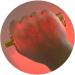 Buy SSDDDLZEQ Handy Venensch chen - USB Vein Lighting Detector for Easy Blood Vessel Location in Children & Seniors - Buy Online on GoSupps.com