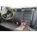Durable Dog Seat Belt Car Safety Harness with Anti Shock Bungee and Isofix/Latch - Heavy Duty & Adjustable Travel Accessory - Buy Online on GoSupps.com