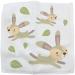 Woodland Animal Magic Wash Cloth - Fun Flannel Face Cloth for Kids - 6 Unique Designs - Buy Online on GoSupps.com