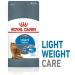 Royal Canin Cat Food Light 40 Dry Mix 400 g (Pack of 4) - Buy Online on GoSupps.com