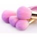 12pc Makeup Brush Set - Complete Powder & Eye Shadow Brushes for Flawless Makeup | Ships Internationally - Buy Online on GoSupps.com