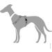 HUNTER Vario Rapid Harness 64-100 cm - Grey | Premium Adjustable Dog Harness for Ultimate Comfort - International Shipping Available - Buy Online on GoSupps.com