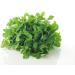 Seelans Fresh Methi Leaf Bunch Double Bunch Methi Indian herb Fresh Leaf Venthaya Keerai Fenugreek leaves Bitter Taste & Strong Aroma Approx 200G - Buy Online on GoSupps.com
