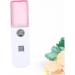 Didiseaon Automatic Sprayer Humidifer Portable Humidifier Nano Mist Cooler Face Sprayer Skin Care Charge Hydrating Instrument Steamer Pink medium Pink - Buy Online on GoSupps.com