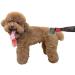 OFKPO Pet Dematting Comb - Detangling Tool for Dog Cat Grooming - Buy Online on GoSupps.com