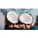Fractionated Coconut Oil - Pure, Medium Chain Triglycerides, Undiluted, Non-GMO, from Coconut Fruit not Palm, Bulk 128 oz / 1 Gallon - C8 C10, Natural, MCT, Carrier for Skin, Hair, Nails, Body - Buy Online on GoSupps.com