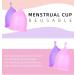 Floraupicious Reusable Menstrual Cup - 3 Pack (Small Pink/Violet/Blue) | Eco-Friendly Female Care Products - Buy Online on GoSupps.com