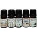 Juniper Ridge Christmas Fir Essential Oil - Evergreen Winter Scent for Diffusers & Aromatherapy - 5ml Pine & Fir Fragrance - Buy Online on GoSupps.com