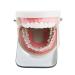 Dental Intraoral Rhodium Plated Double-Sided Glass Photographic Mirrors - Orthodontic Reflector for Intraoral Photography - Buy Online on GoSupps.com
