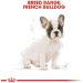 ROYAL CANIN Dog Food for French Bulldog Junior 1 kg - Buy Online on GoSupps.com