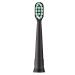 Oral Basics Sonic Electric Toothbrush with Tooth Scraper Attachment | USB Rechargeable | Tartar Plaque Removal - Buy Online on GoSupps.com