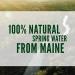Poland Spring Premium 100% Natural Spring Water, 8oz Bottles (Pack of 15) - 120 Fl Oz - Buy Online on GoSupps.com